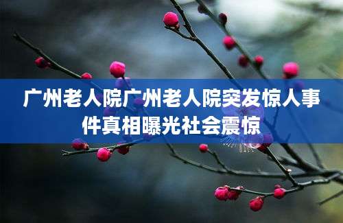 广州老人院广州老人院突发惊人事件真相曝光社会震惊