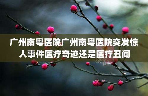 广州南粤医院广州南粤医院突发惊人事件医疗奇迹还是医疗丑闻