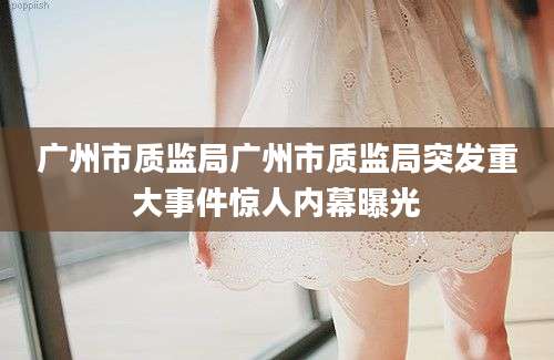 广州市质监局广州市质监局突发重大事件惊人内幕曝光