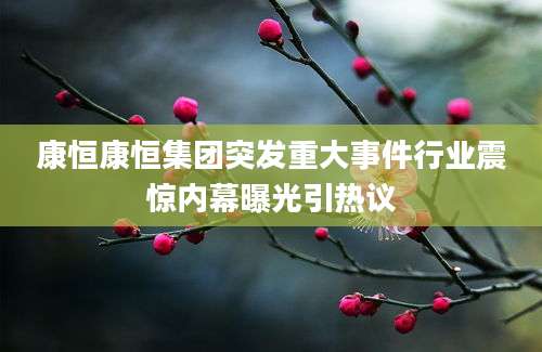 康恒康恒集团突发重大事件行业震惊内幕曝光引热议