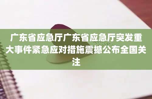 广东省应急厅广东省应急厅突发重大事件紧急应对措施震撼公布全国关注