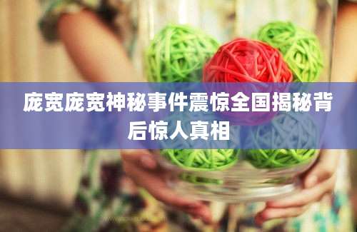 庞宽庞宽神秘事件震惊全国揭秘背后惊人真相