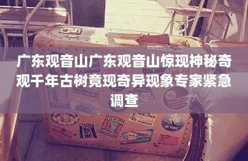 广东观音山广东观音山惊现神秘奇观千年古树竟现奇异现象专家紧急调查