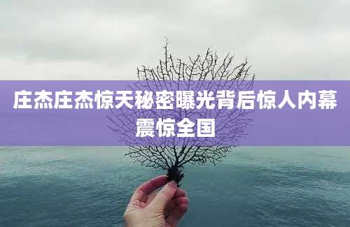 庄杰庄杰惊天秘密曝光背后惊人内幕震惊全国