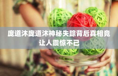 庞道沐庞道沐神秘失踪背后真相竟让人震惊不已