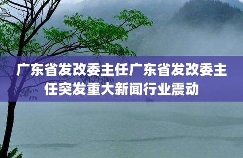 广东省发改委主任广东省发改委主任突发重大新闻行业震动