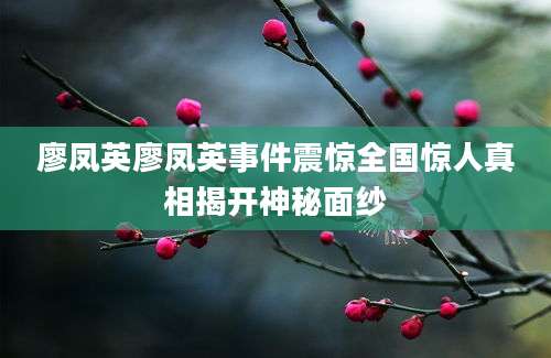 廖凤英廖凤英事件震惊全国惊人真相揭开神秘面纱