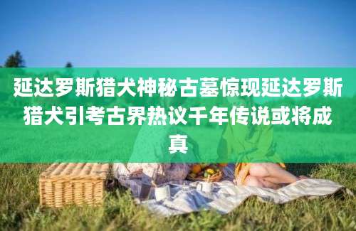 延达罗斯猎犬神秘古墓惊现延达罗斯猎犬引考古界热议千年传说或将成真