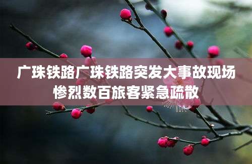 广珠铁路广珠铁路突发大事故现场惨烈数百旅客紧急疏散