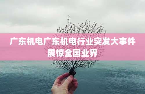 广东机电广东机电行业突发大事件震惊全国业界