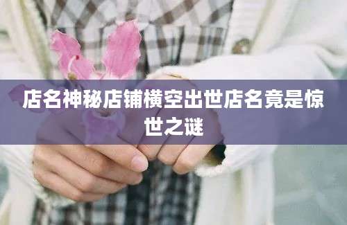 店名神秘店铺横空出世店名竟是惊世之谜