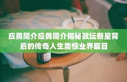 应勇简介应勇简介揭秘政坛新星背后的传奇人生震惊业界瞩目