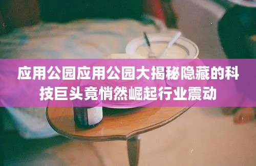 应用公园应用公园大揭秘隐藏的科技巨头竟悄然崛起行业震动