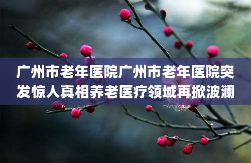 广州市老年医院广州市老年医院突发惊人真相养老医疗领域再掀波澜