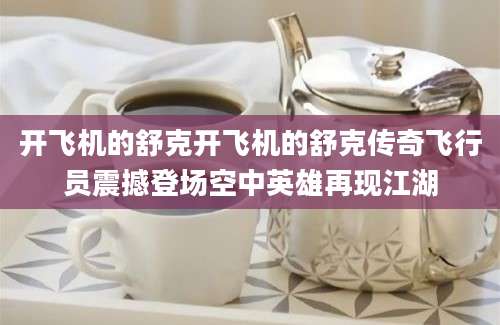 开飞机的舒克开飞机的舒克传奇飞行员震撼登场空中英雄再现江湖