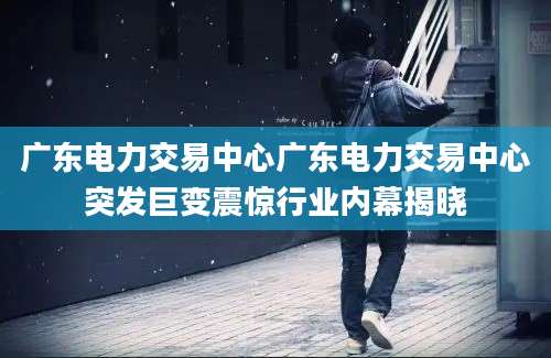 广东电力交易中心广东电力交易中心突发巨变震惊行业内幕揭晓