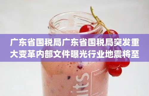 广东省国税局广东省国税局突发重大变革内部文件曝光行业地震将至