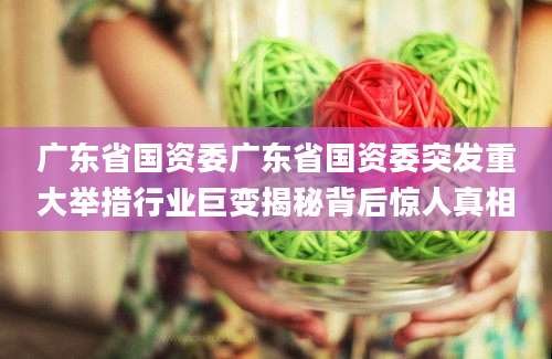 广东省国资委广东省国资委突发重大举措行业巨变揭秘背后惊人真相