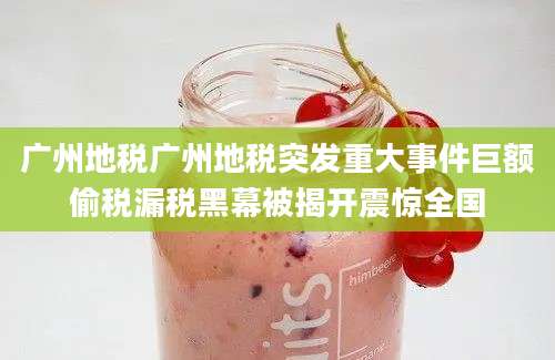 广州地税广州地税突发重大事件巨额偷税漏税黑幕被揭开震惊全国
