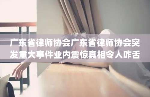广东省律师协会广东省律师协会突发重大事件业内震惊真相令人咋舌