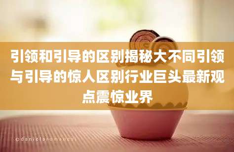 引领和引导的区别揭秘大不同引领与引导的惊人区别行业巨头最新观点震惊业界