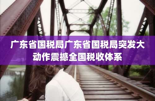 广东省国税局广东省国税局突发大动作震撼全国税收体系