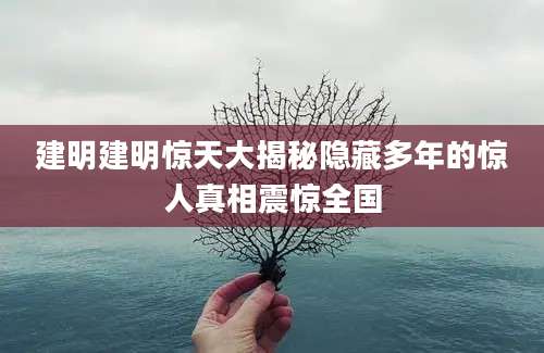 建明建明惊天大揭秘隐藏多年的惊人真相震惊全国