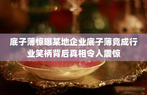 底子薄惊曝某地企业底子薄竟成行业笑柄背后真相令人震惊