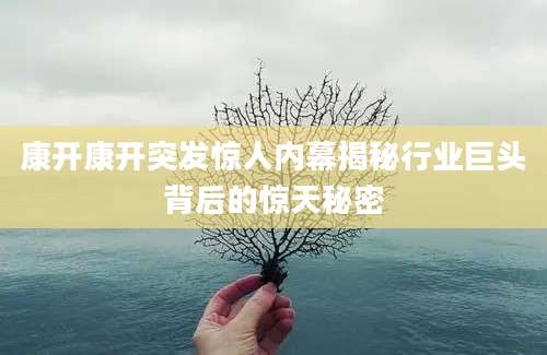 康开康开突发惊人内幕揭秘行业巨头背后的惊天秘密