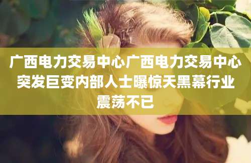 广西电力交易中心广西电力交易中心突发巨变内部人士曝惊天黑幕行业震荡不已