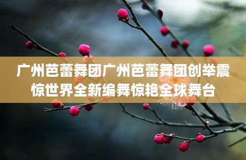 广州芭蕾舞团广州芭蕾舞团创举震惊世界全新编舞惊艳全球舞台