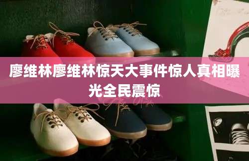 廖维林廖维林惊天大事件惊人真相曝光全民震惊