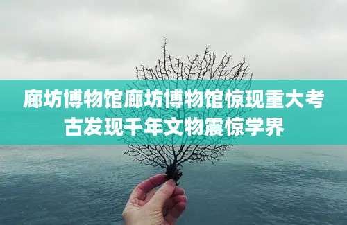 廊坊博物馆廊坊博物馆惊现重大考古发现千年文物震惊学界