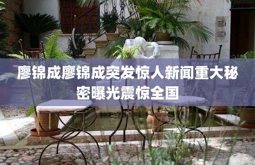 廖锦成廖锦成突发惊人新闻重大秘密曝光震惊全国