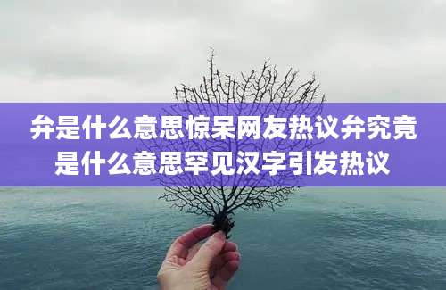 弁是什么意思惊呆网友热议弁究竟是什么意思罕见汉字引发热议