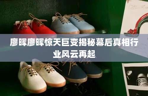 廖晖廖晖惊天巨变揭秘幕后真相行业风云再起
