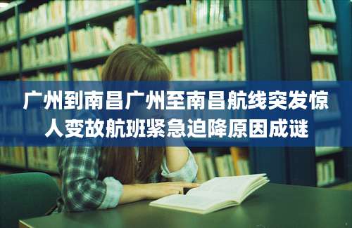 广州到南昌广州至南昌航线突发惊人变故航班紧急迫降原因成谜