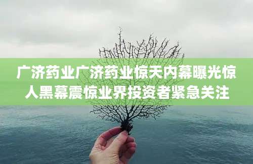 广济药业广济药业惊天内幕曝光惊人黑幕震惊业界投资者紧急关注