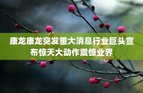 康龙康龙突发重大消息行业巨头宣布惊天大动作震惊业界
