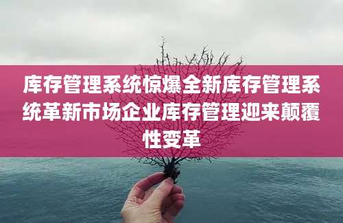 库存管理系统惊爆全新库存管理系统革新市场企业库存管理迎来颠覆性变革