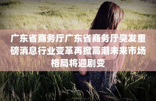 广东省商务厅广东省商务厅突发重磅消息行业变革再掀高潮未来市场格局将迎剧变