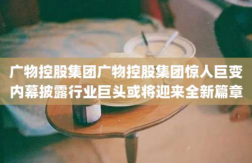 广物控股集团广物控股集团惊人巨变内幕披露行业巨头或将迎来全新篇章