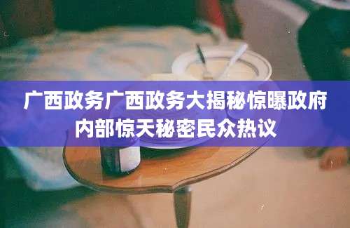 广西政务广西政务大揭秘惊曝政府内部惊天秘密民众热议