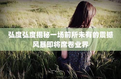 弘度弘度揭秘一场前所未有的震撼风暴即将席卷业界