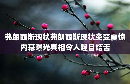 弗朗西斯现状弗朗西斯现状突变震惊内幕曝光真相令人瞠目结舌