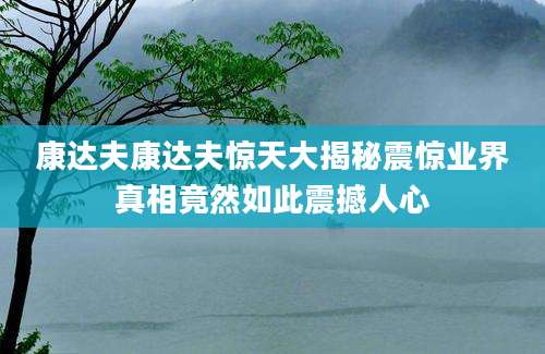 康达夫康达夫惊天大揭秘震惊业界真相竟然如此震撼人心