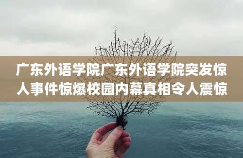 广东外语学院广东外语学院突发惊人事件惊爆校园内幕真相令人震惊