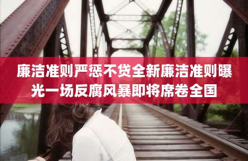 廉洁准则严惩不贷全新廉洁准则曝光一场反腐风暴即将席卷全国