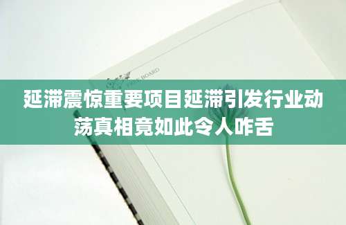 延滞震惊重要项目延滞引发行业动荡真相竟如此令人咋舌