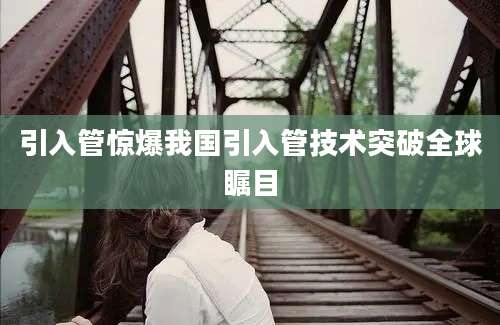 引入管惊爆我国引入管技术突破全球瞩目